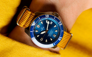 An In-Depth Review of Ratio FreeDiver X – Why is It a Hot Choice in Diver Watches
