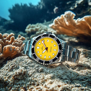 RATIO FREEDIVER