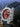 Ratio FreeDiver Professional 500M Sapphire Red Dial Automatic 32BJ202A-RED Men's Watch - Ratiowatches