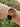 Ratio FreeDiver Professional Sapphire Orange Dial Quartz RTF025 200M Men's Watch - Ratiowatches